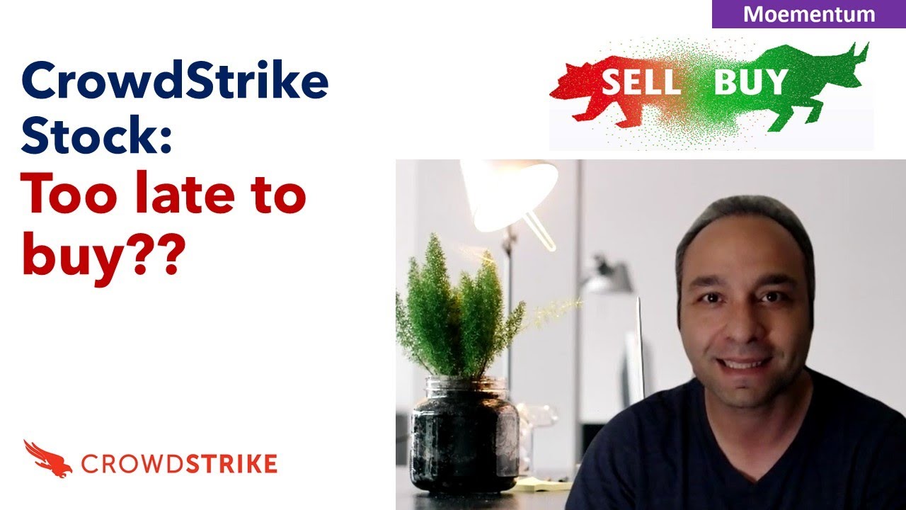 CrowdStrike Stock: Analyzing Costs and Reputational Damage